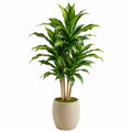 Plante artificielle dracaena 160 cm feuillage vert en plastique avec pot décoratif pour intérieur