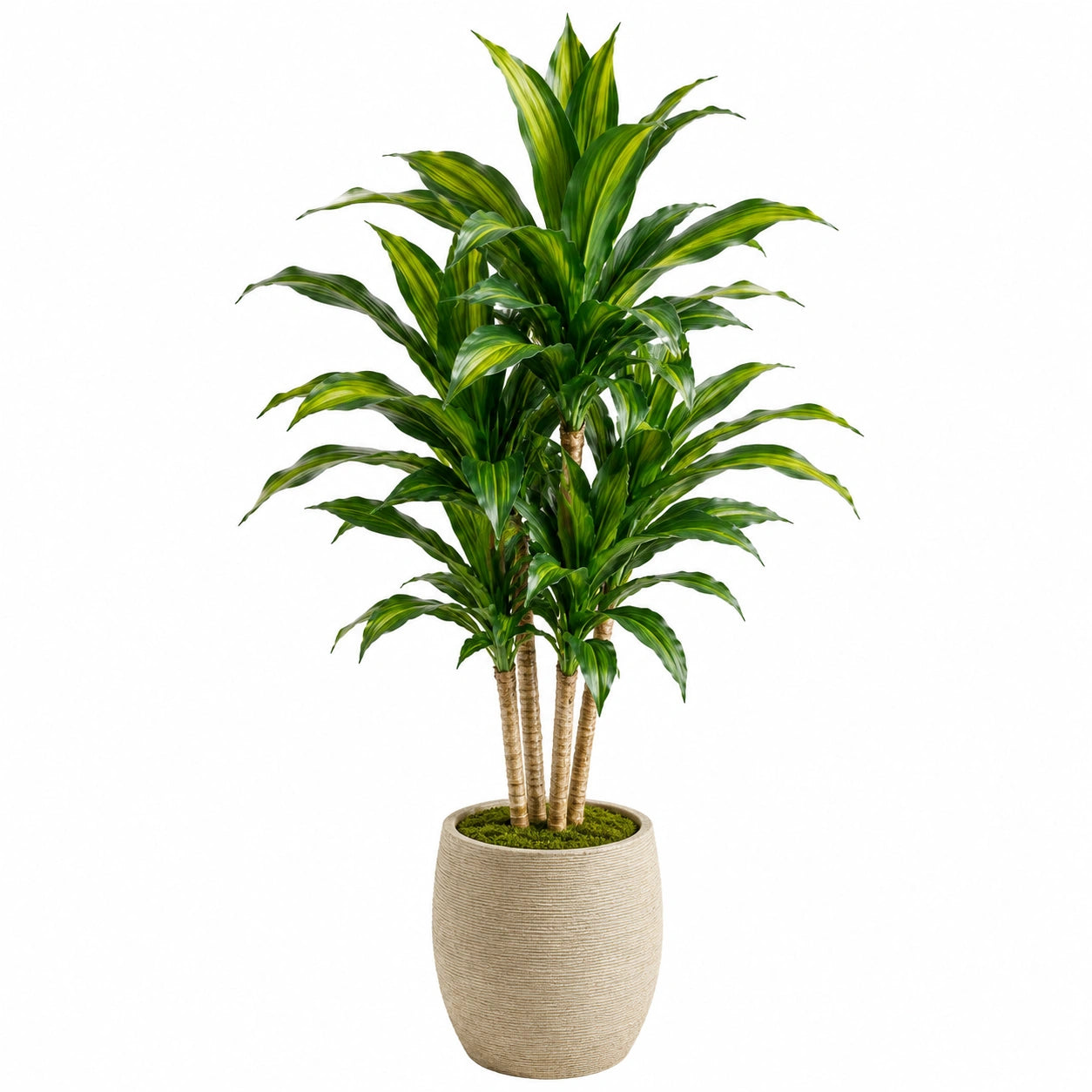 Plante artificielle dracaena 160 cm feuillage vert en plastique avec pot décoratif pour intérieur