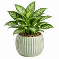 Plante artificielle en plastique vert panaché 65 cm avec pot en céramique pour intérieur