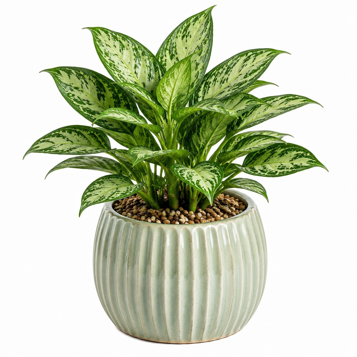 Plante artificielle en plastique vert panaché 65 cm avec pot en céramique pour intérieur