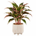 Plante verte artificielle 90 cm feuillage textile vert rose en pot céramique pour intérieur