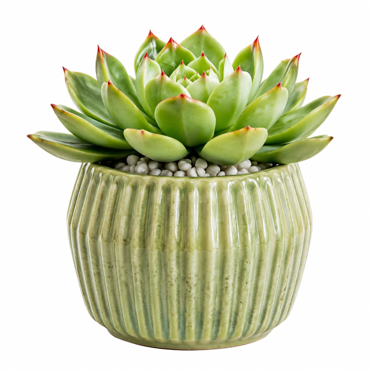 Plante grasse artificielle 18 cm en plastique vert avec pot en céramique décoratif